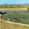 Postcard, Balmorhea State Park, 1950s