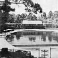 Postcard, Swimming Pool, Bastrop State Park, c. 1945