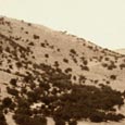 CCC Camp, Davis Mountains State Park, 1933