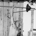 Working with Barbells, Burnet, Texas, c. 1935