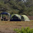 Lamar Peninsula Campsite, Goose Island State Park, c. 2000