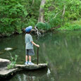 Pond, Lockhart State Park, c. 2000