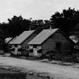 CCC Company 873 Camp, Palmetto State Park, July 18, 1935