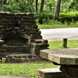 Picnic Group, Palmetto State Park, 2008